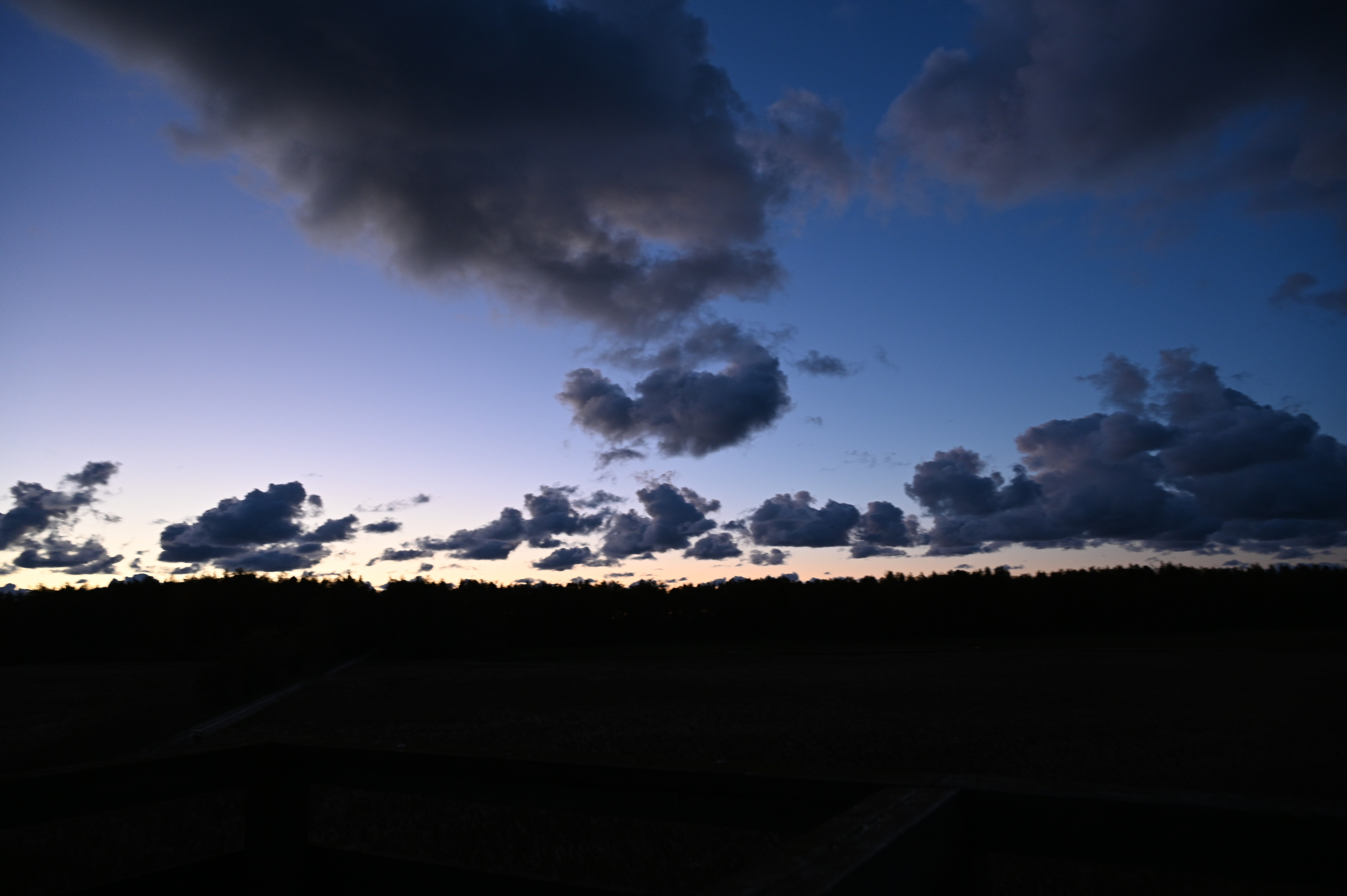 2025/10/18 - walk/DSC_0620.JPG